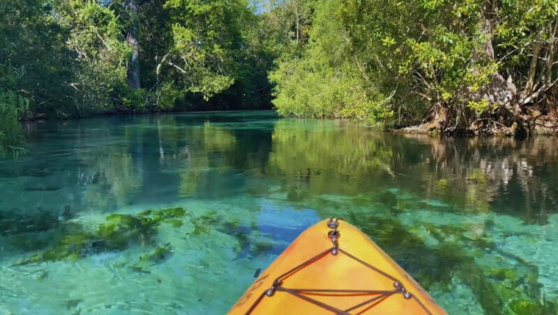 Best kayaking spots in Florida 2024