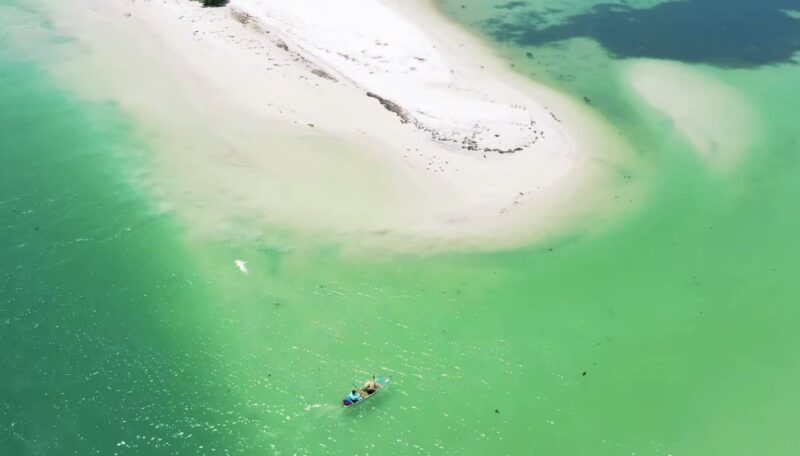 Florida kayaking adventures 2024