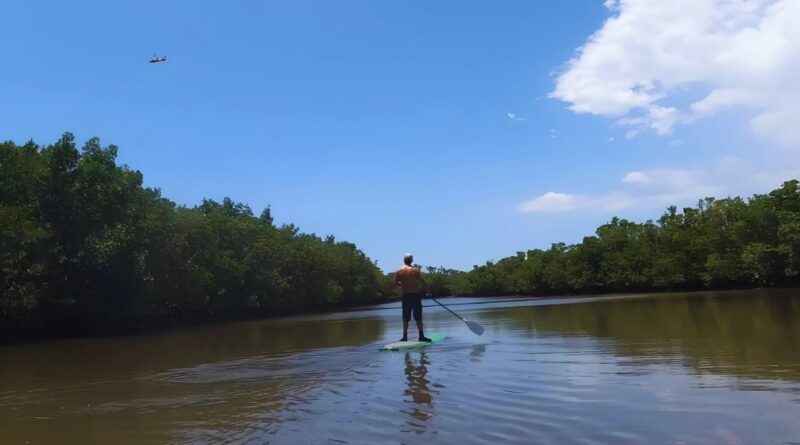 Miami paddleboard rental