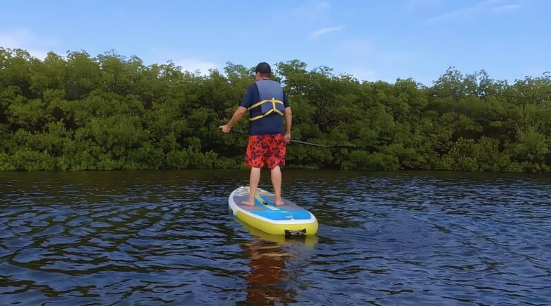 Paddleboard lessons Miami