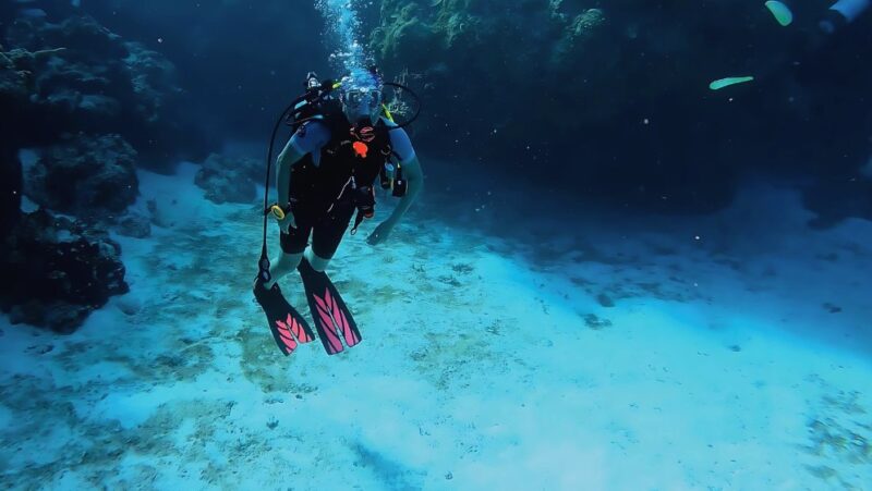 Top Florida scuba diving spots