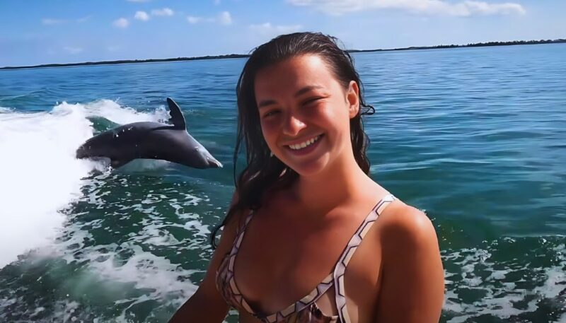 Dolphin tour Miami Florida